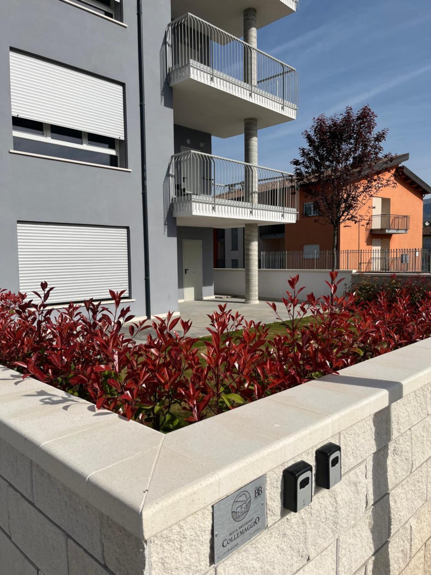 B&B Collemaggio L'Aquila Bagian luar foto